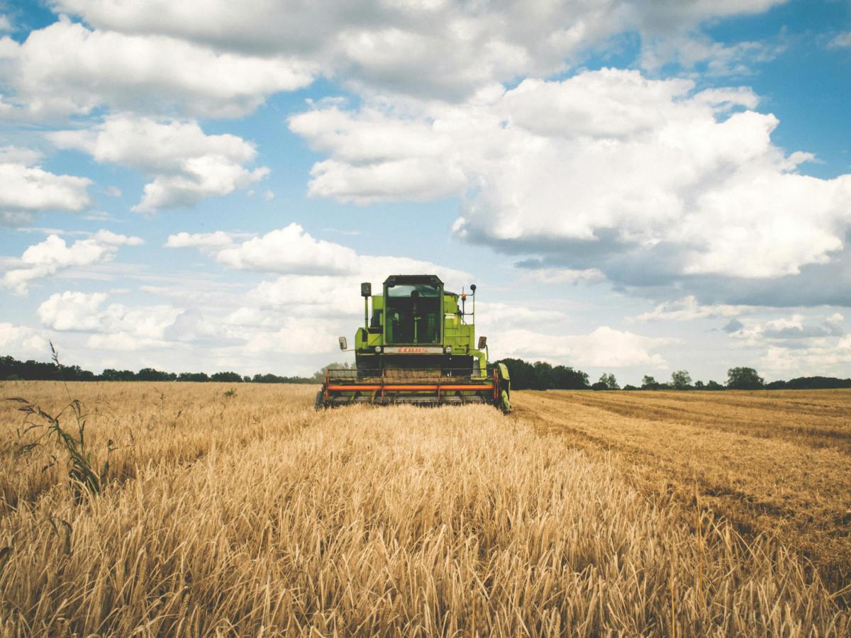 Seguros en el sector agrícola: una protección necesaria para el&nbsp;campo